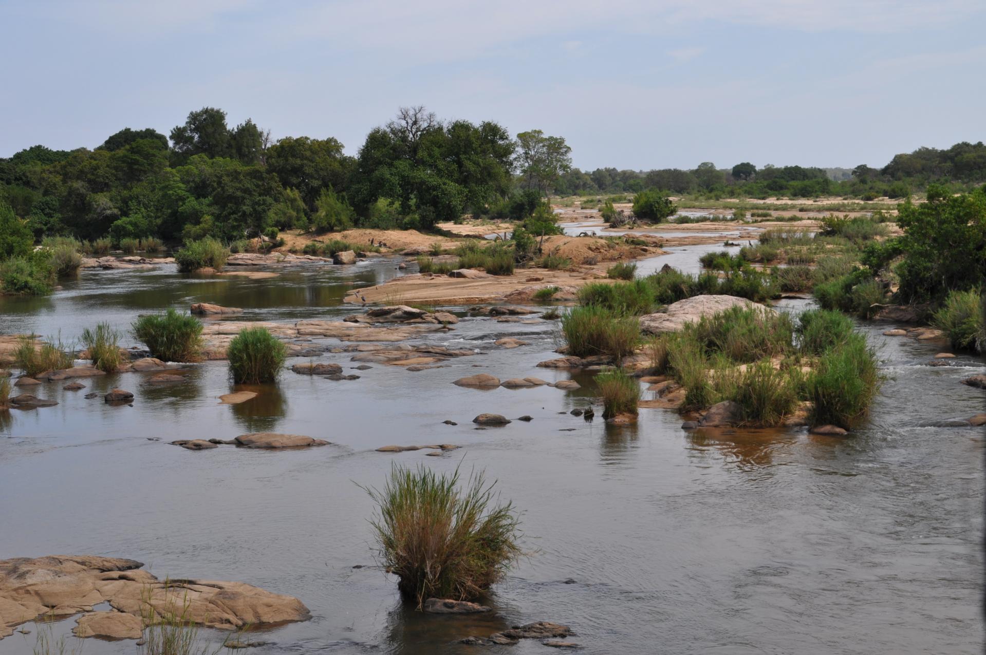 la rivière Kruger