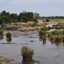 la rivière Kruger